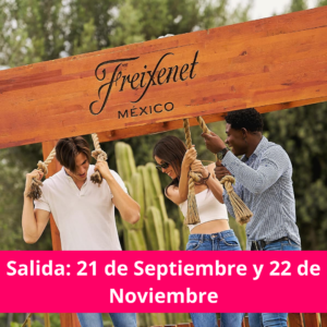 Freixenet Ruta del Vino y Queso