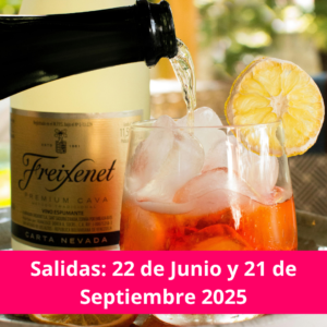 Tour Peña de Bernal + Finca VAI + Freixenet