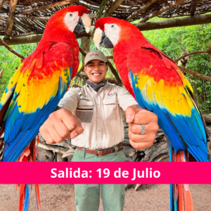 Africam Safari - Viajecito Lindo