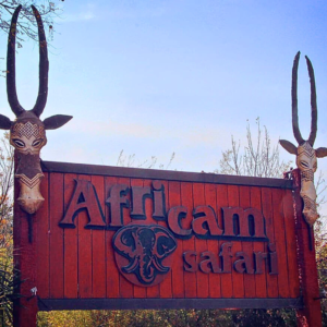 Africam Zafari y Puebla - Viajecito Lindo