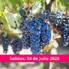 Fiesta de la Vendimia Freixenet - Viajecito Lindo