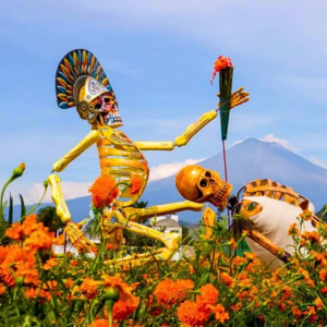 Campos de Cempasuchil y Atlixco