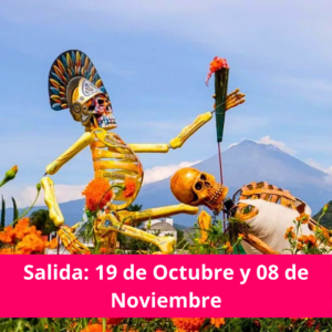 Campos de Cempasuchil y Atlixco