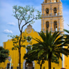 Tour Campos de Cempasúchil y Atlixco
