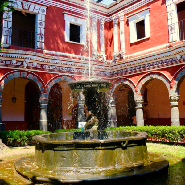 Tour Campos de Cempasúchil y Atlixco