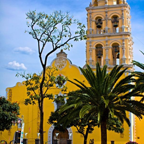 Tour Campos de Cempasúchil y Atlixco